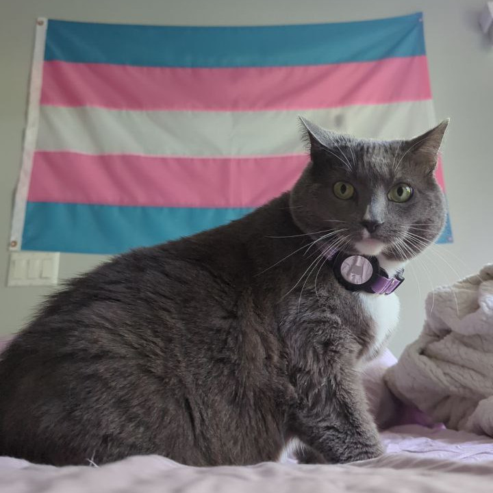 lola in front of the trans pride flag